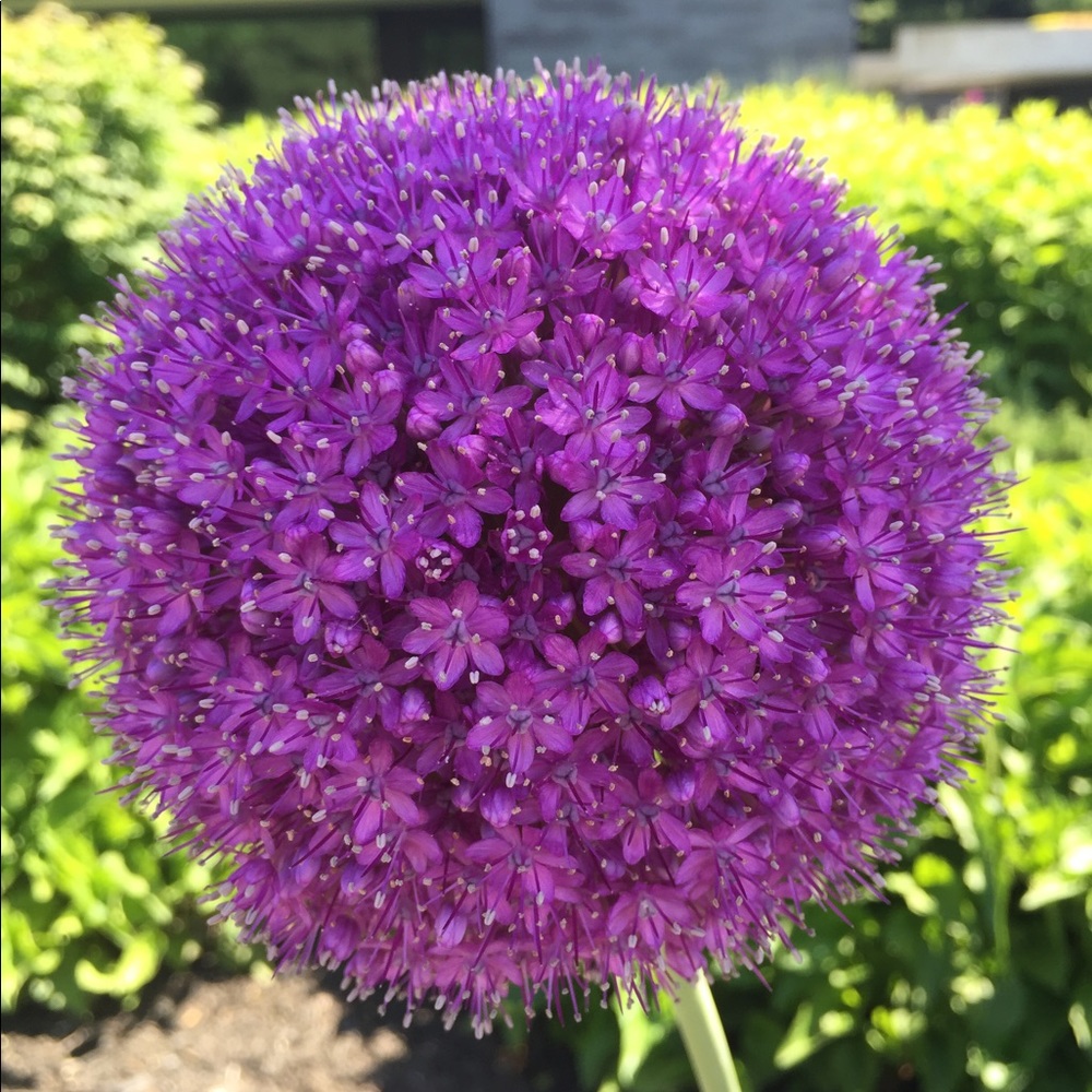 Meet your Posher, Aj